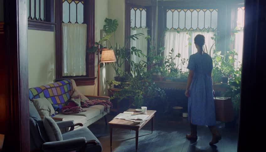 Woman in blue dress holding suitcase facing window with plants