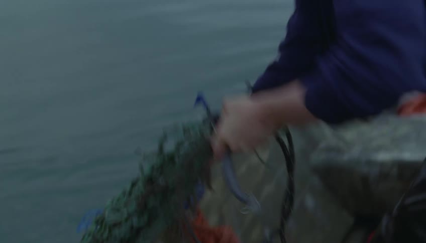 Hand holds a fishing net over the side of a boat on the water