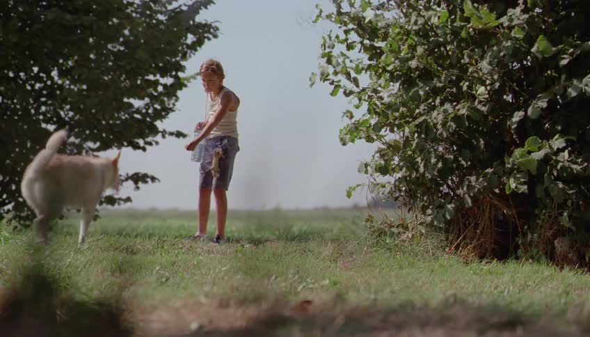 A dog runs up to a boy holding a water bottle then they walk away