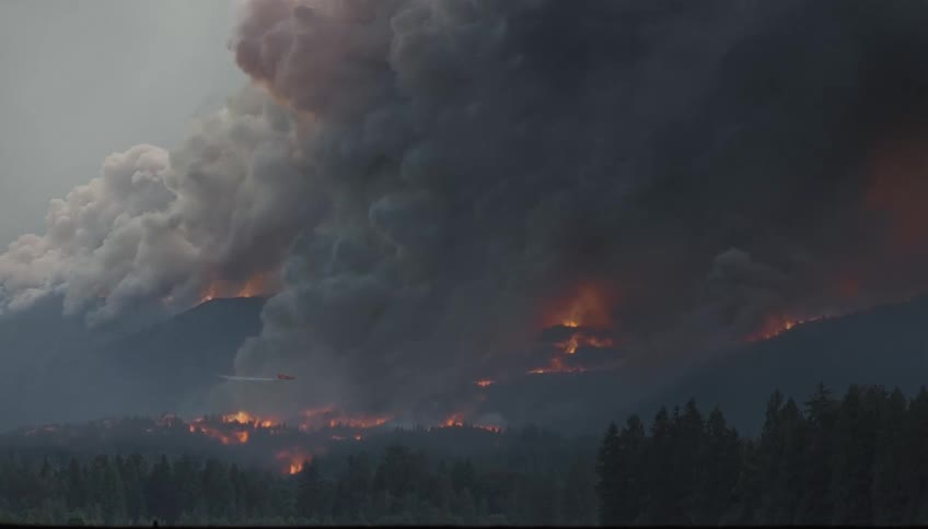 Large plumes of dark and white smoke rise from a forest fire burning on a mountainside at dusk with a line of trees in the foreground