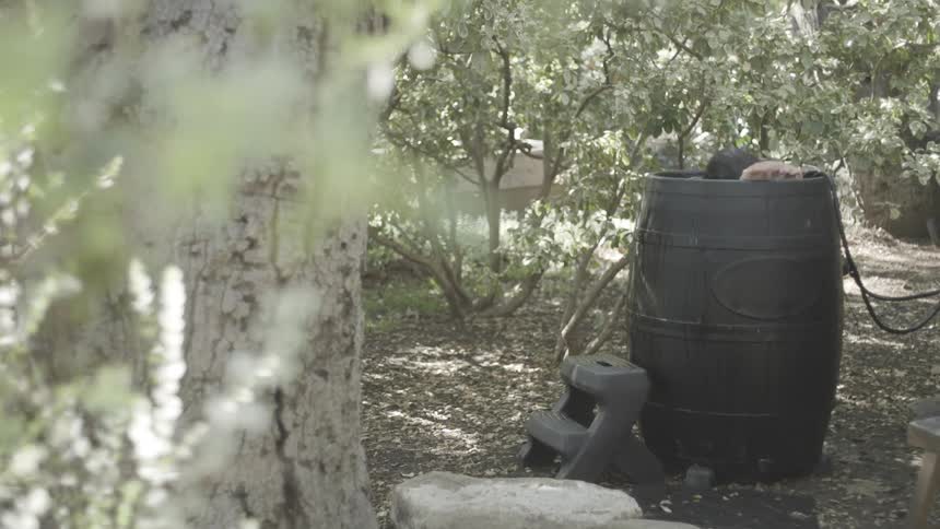 A shirtless man sits inside a black water barrel positioned outdoors among trees and then fully submerges his head before surfacing to catch his breath during a cold plunge session in a garden