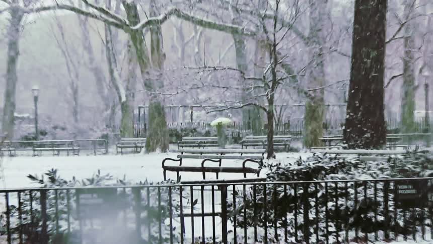 Woman carries an umbrella as she walks through a snow covered park during a blizzard