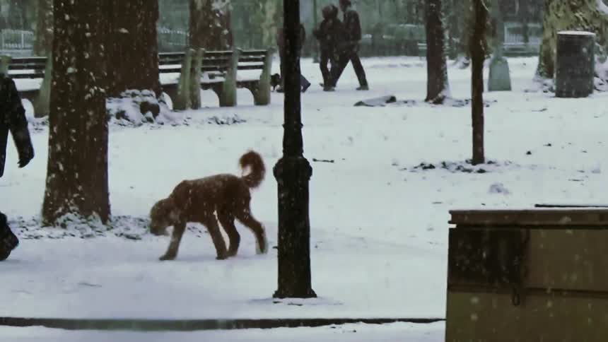 People walking through a snow covered park passing trees and benches beneath a winter sky