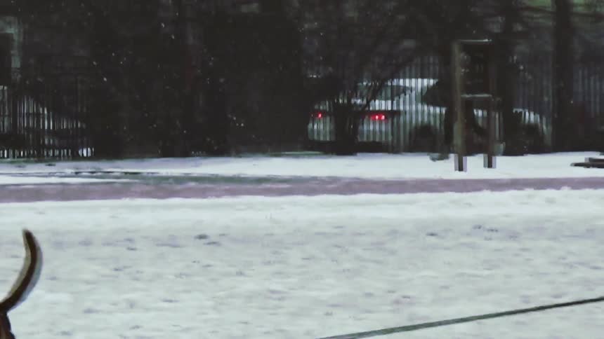 The man runs by a dog being walked as it snows