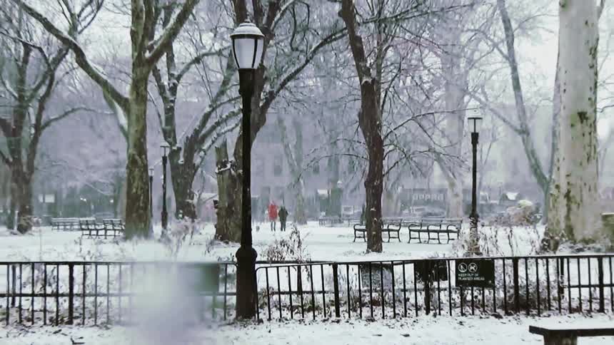 A view of a city park during a heavy snow storm with bare trees and black benches covered in white snow