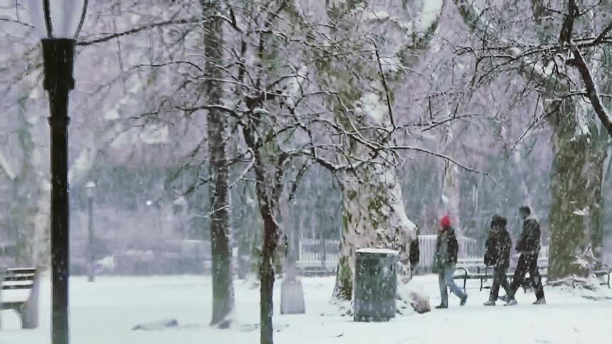 A group of people walking around in a park