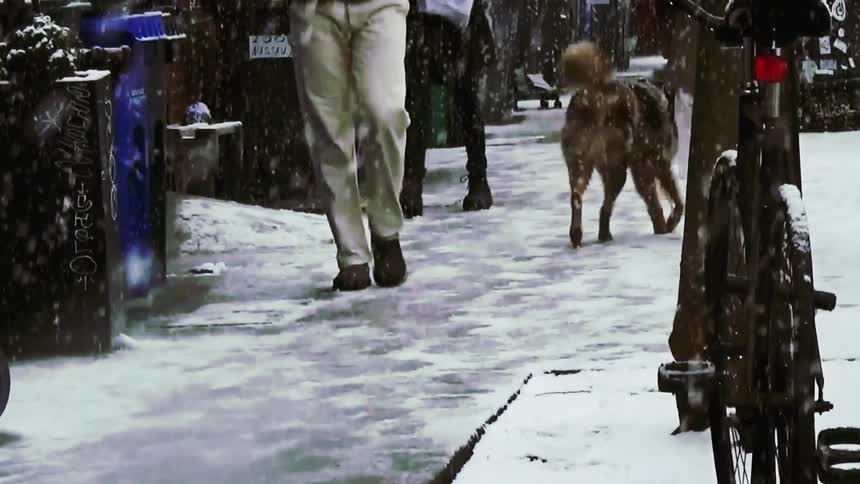 People walking down a sidewalk in a city