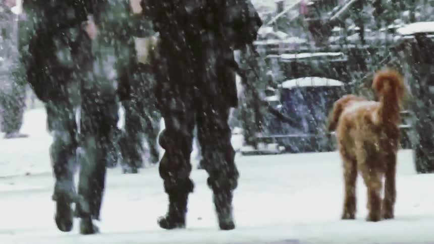 Pedestrians walking with a dog along a snowcovered sidewalk during urban snowfall