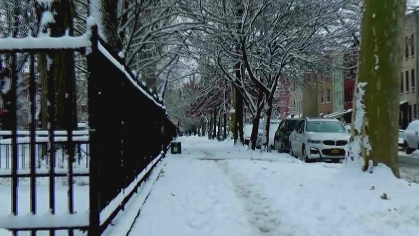 A snowcovered sidewalk stretches alongside a black iron fence and a row of winter trees in a quiet urban neighborhoodpedestrians walk in the distance past parked cars as a light snowfall blankets the city street