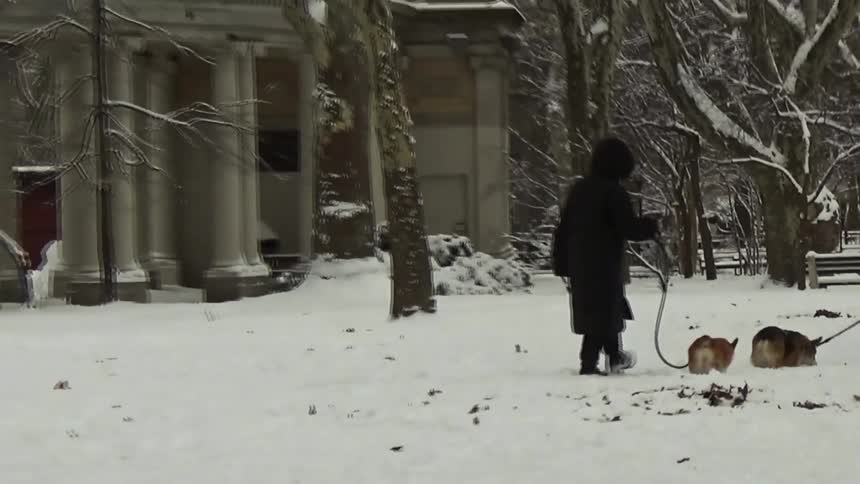 People walking with a dog in a snowcovered park