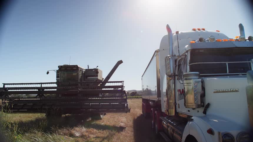 Truck parked beside a harvester in an agricultural field under open sky