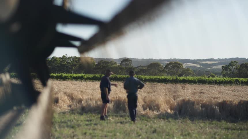 Two people stand and discuss a field on a summer day