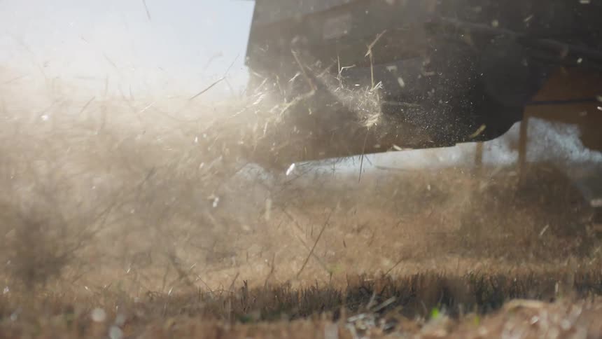 A combine harvester picking up wheat