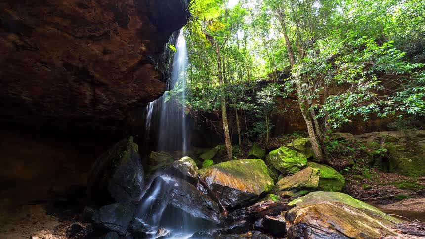 Waterfall flowing down a rocky wall among trees and mosscovered stones