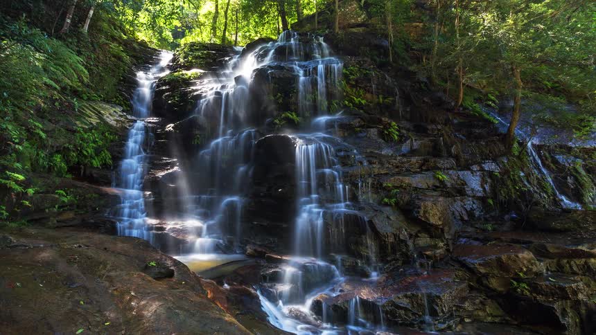 A view of a waterfall in a forest