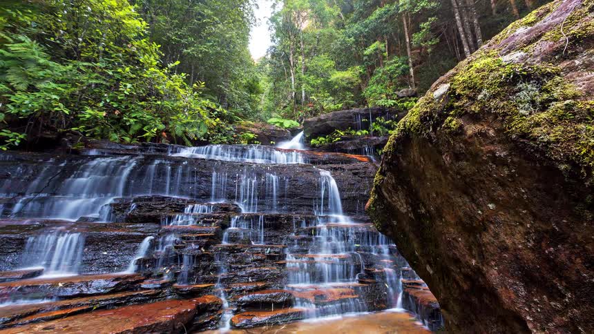 A stream flowing over rocky terrain inside a rainforest at midday
