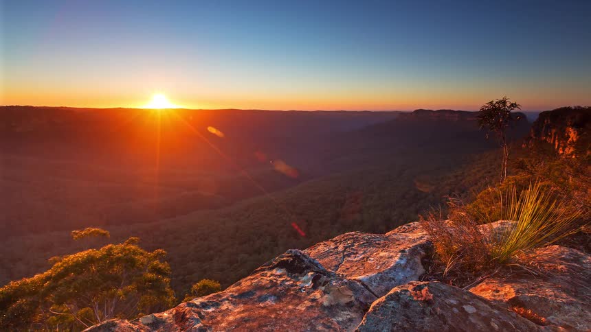 Sun emerging on the horizon over a canyon with dense vegetation seen from a rocky lookout