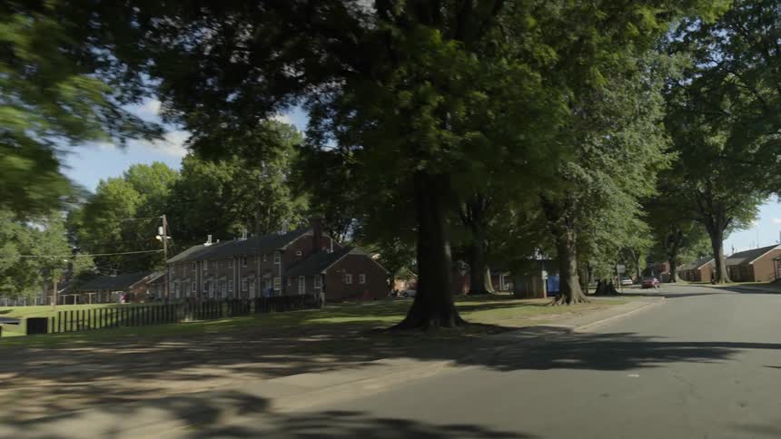 Trees line a neighborhood road