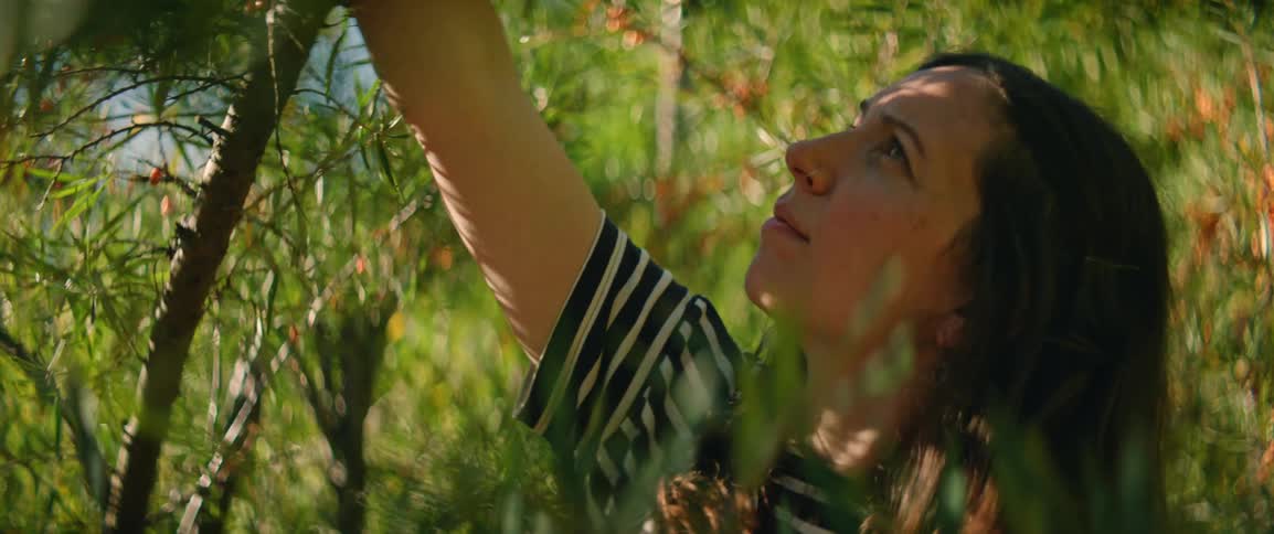 Woman reaches out to gather branches from a plant amidst the vegetation illuminated by natural light