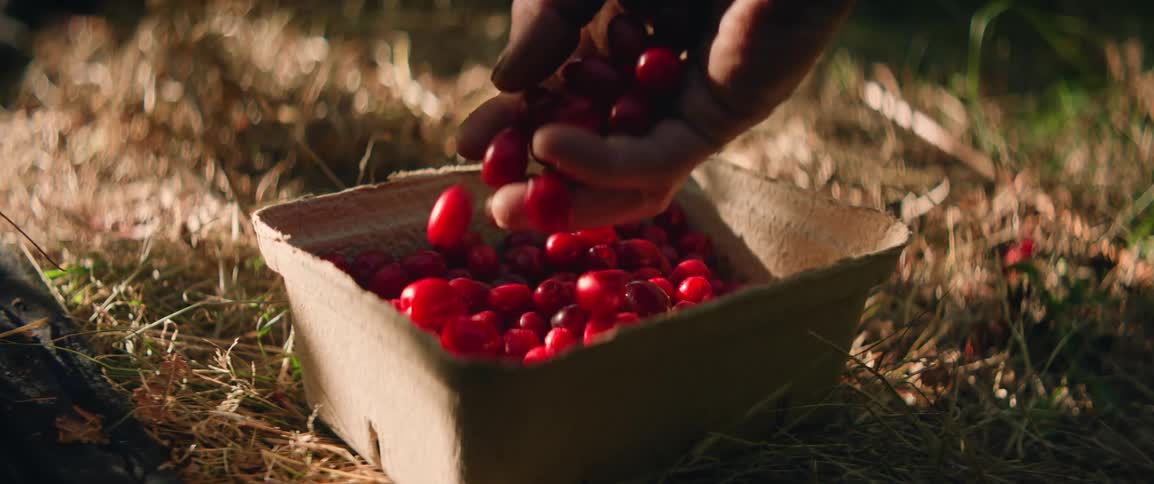 A person placing berries into a basket