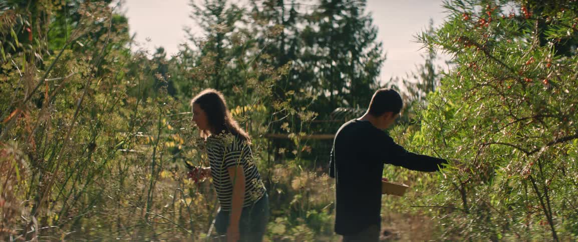 Two people harvest plants and berries in a lush outdoor garden during a sunny day