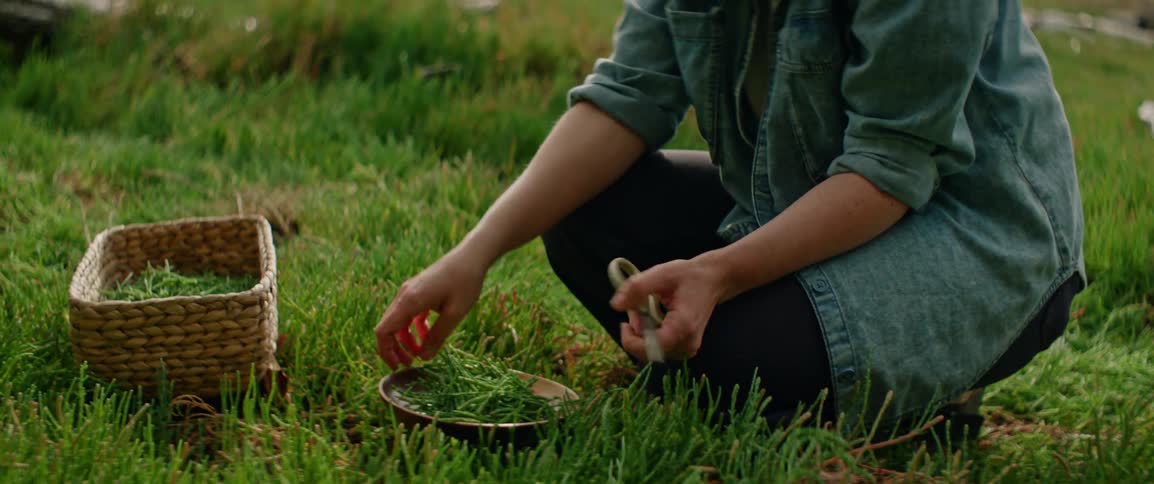A person kneels on green grass placing harvested vegetables from a small bowl into the woven basket beside them