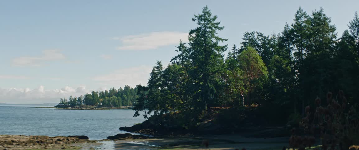 A quiet forested coastline curves along calm ocean water under a clear blue sky