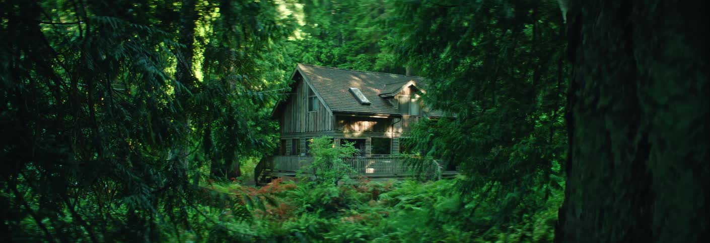 Cabin in the forest surrounded by trees and plants