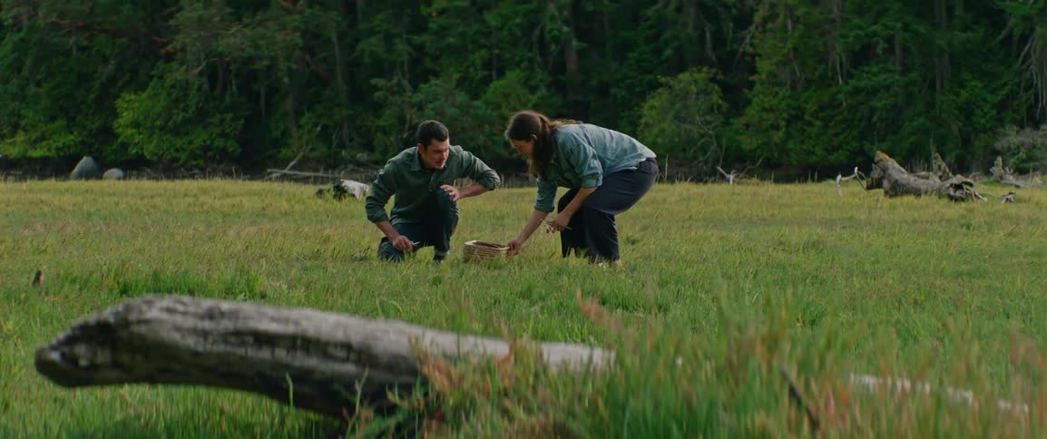 Young adult man and woman squatting and cutting pieces of grass before putting them on a basket and walk away outdoors during day time