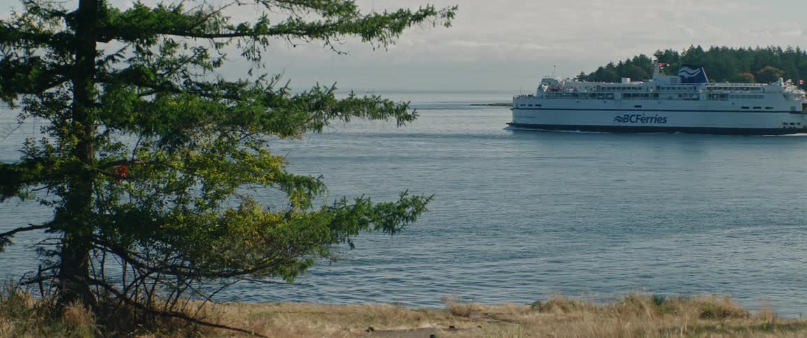 A pine tree stands near calm water with a distant wooded shoreline grassy foreground and a ferry passing by