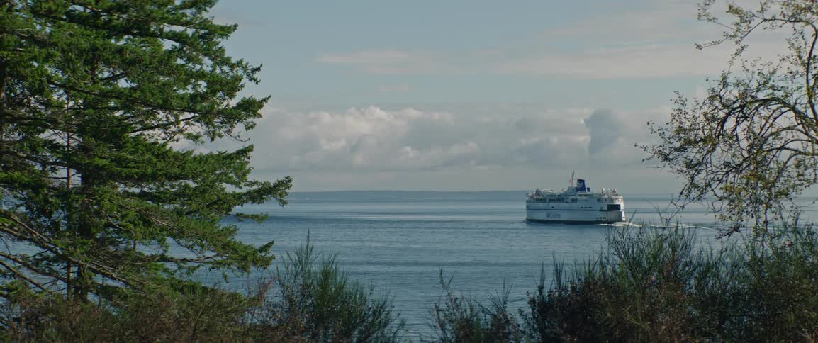 Cruise ship sailing on the water off the coast