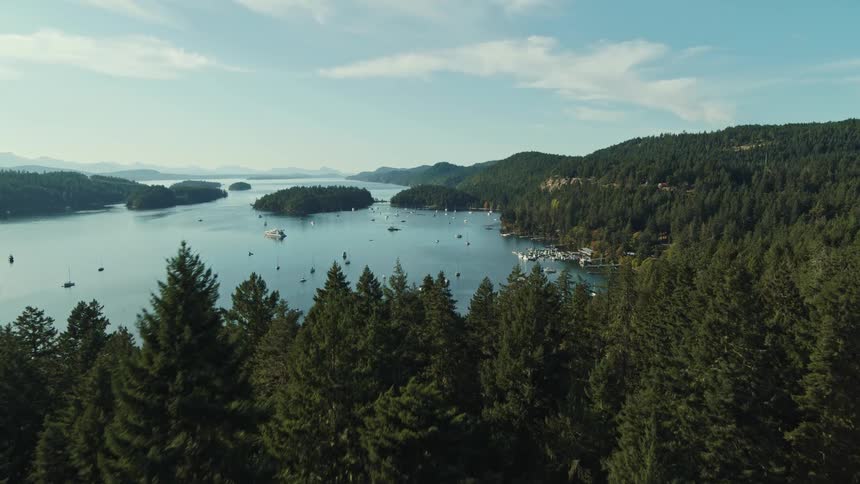 A drone flies over a dense evergreen forest to reveal a wide bay filled with anchored sailboats and yachts nestled between forested hills and small islands under a clear afternoon sky in a coastal wilderness region