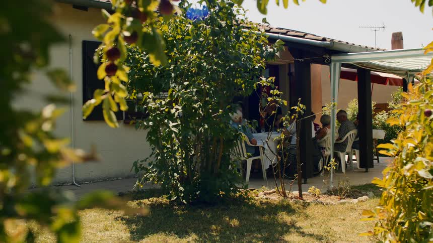 A sunlit outdoor patio with people sitting at tables framed by golden autumn leaves in the foreground