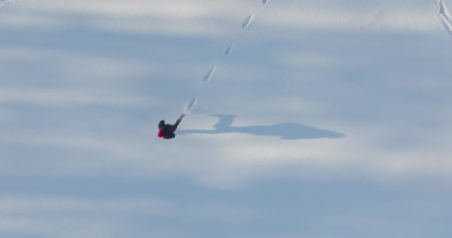 An aerial shot shows a person in a dark coat and red hat walking across a vast sunlit field of snow as they move they leave a trail of deep footprints behind them in the otherwise untouched white landscape