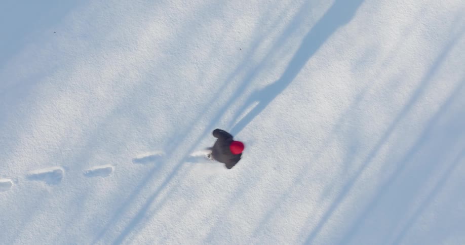 Running through the snow leaving footprints and shadows across the white expanse