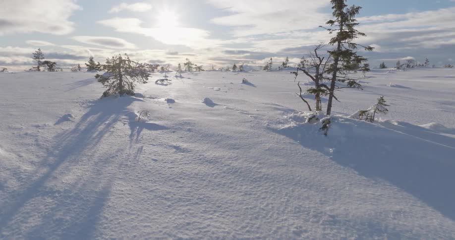 Snowy landscape with leafless trees casting long shadows under partly cloudy sky
