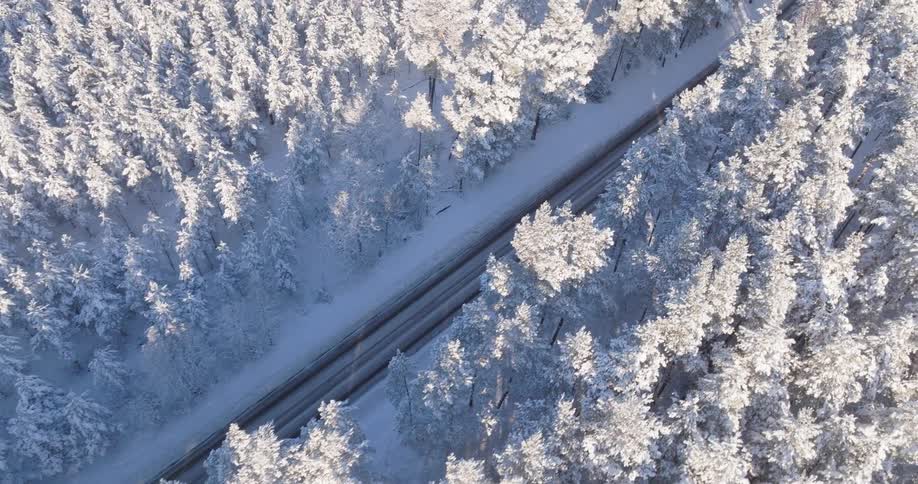 This aerial footage captures a serene snowcovered forest with a long road cutting through the center a single vehicle travels along the asphalt providing a sense of movement against the still white landscape
