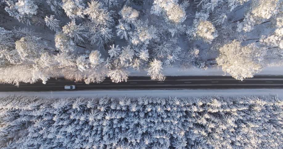 Cars driving along a highway surrounded by a snowcovered forest