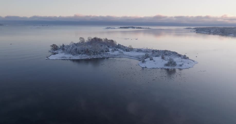 An aerial shot glides over a serene snowcovered island situated in the middle of a calm sea flocks of birds float on the dark water surrounding the frostcovered trees under a soft morning sky