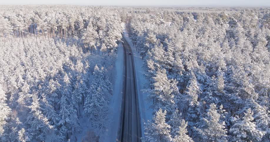 Van traveling on a highway through a snow covered forest