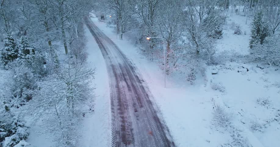 An aerial view of a forest covered in snow