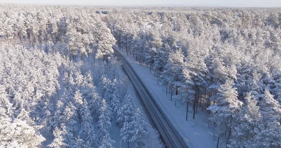 Highway through a snow covered forest