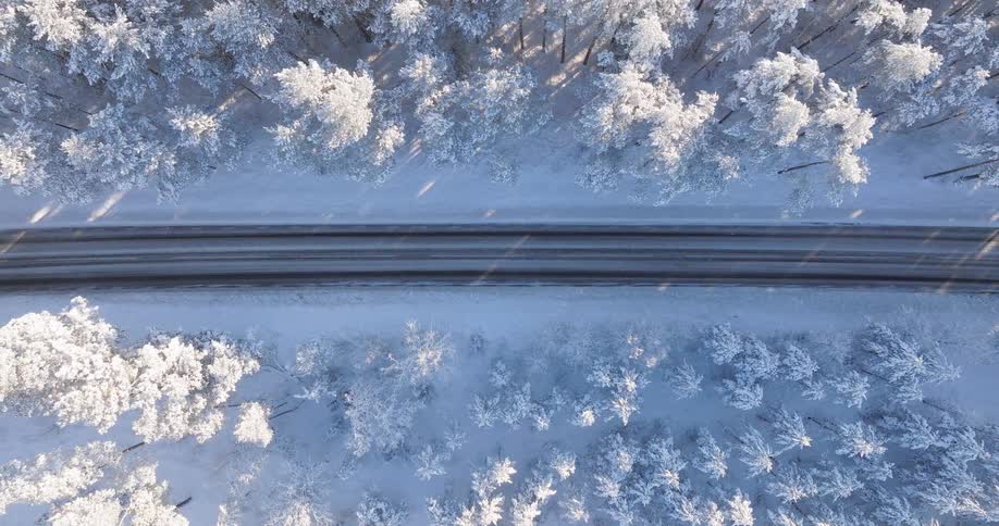 Aerial view of a road through a snow covered forest