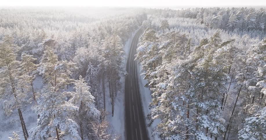 Highway through a snow covered forest on a winter day