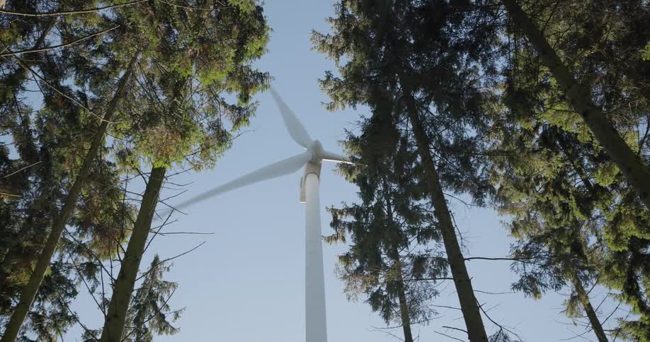 Wind turbine in operation near a forest