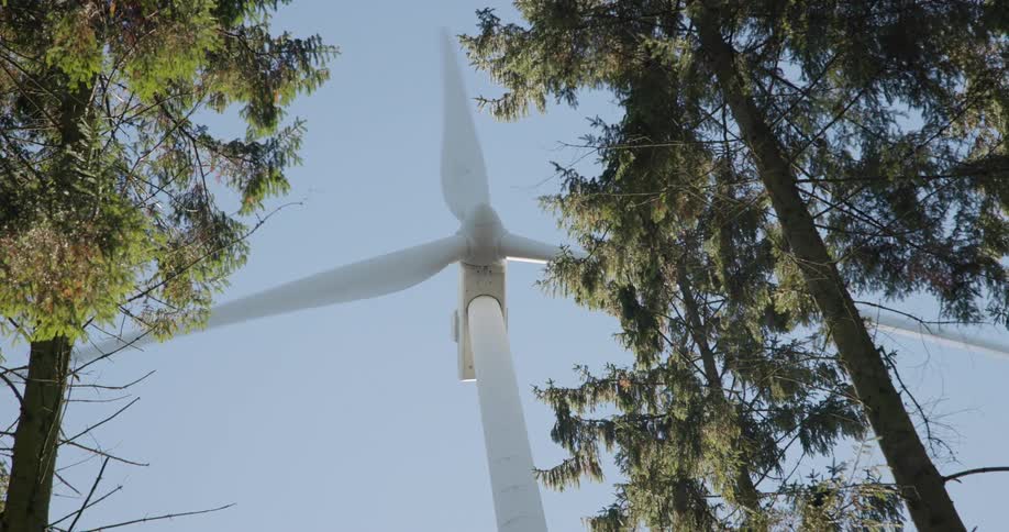 A wind turbine spinning in a field with trees in the foreground on a sunny day