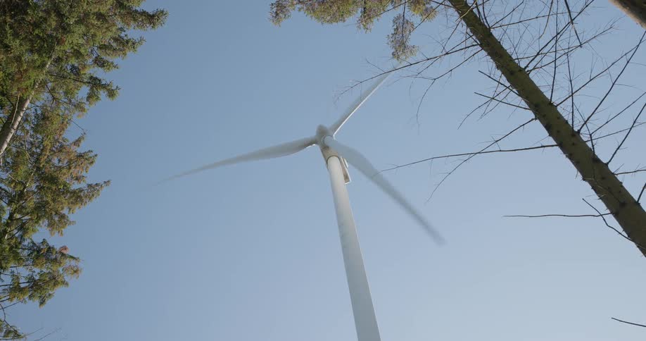 A view from the ground looking up shows a single white wind turbine spinning against a clear blue sky while framed by the branches of green trees