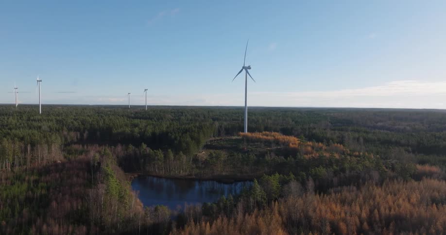 Forest area with wind turbines