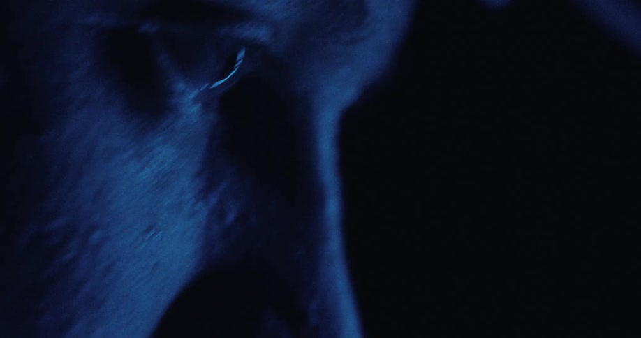 Deep blue light illuminates the side of a persons face focusing on their eye in the darkness