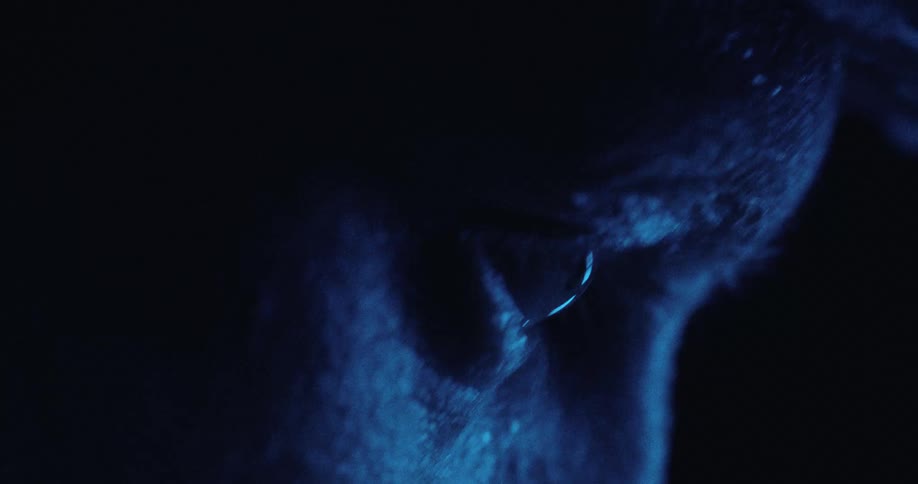 Human eye in closeup under blue lighting with sharp focus on skin texture